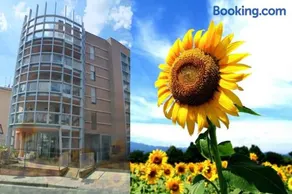 Casa dei girasoli - Image 1