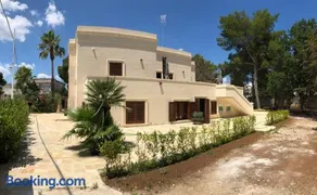 B. & B. Lu Turnitu - Image 2