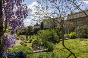 Luxury Istrian Stone Villa Catalpa with Heated Pool, Large Private Retreat - Image 3