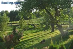 Jora Siedlisko - Image 2