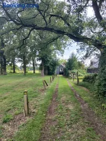 Onder de Eiken - Image 4