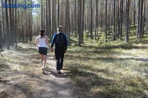 12 - Fulufjellets national parks - This is the place where Norway and Sweden meet in a large protected area for animals and nature - Image 3