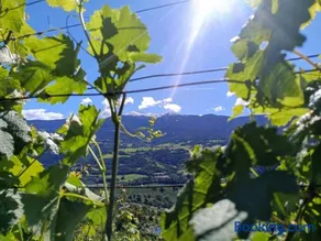 Saxöler Brixen - Image 5