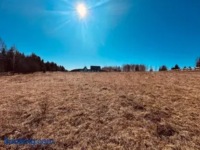 Beechtree Property - Image 1