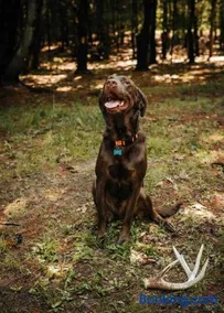 Rustic Ridge - Image 2