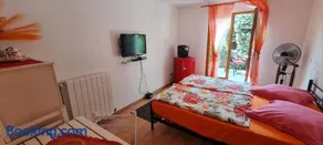 Petit Studio - Image 3