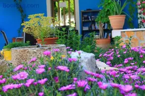 Apartments Yerkovic - Image 4