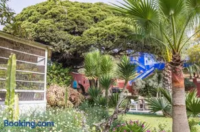 Villa Beldi - Image 3