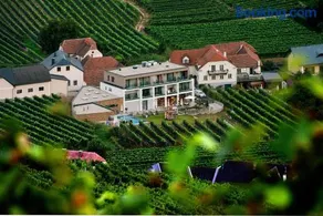 Boutiquehotel WEINSPITZ & Weingut STRAWANZER Donabaum - Image 2