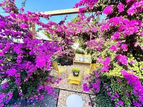 Italian Amalfi Cottage - Walk to the beach - Hot Tub - Image 4