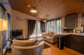 Britannia Petite Lodge - Still Rabbit - Hot Tub - Yorkshire - Image 3