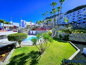 Holidays in Paradise - Image 1