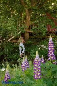 Treehouse escape - Image 2
