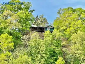 Eagle Rock Cabin Illinois River view - Image 1
