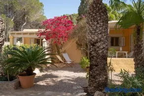 Bungalows Casa Amarilla - Image 4