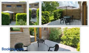 Buddleia - Image 3