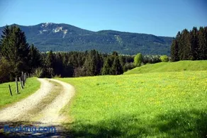 Beim Knödlbrui - Image 4