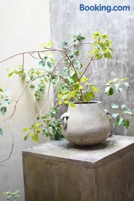 Baranada Ayurvedic Wellness Retreat Center - Image 1