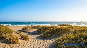 Oceanside Apartment in El Medano - Image 3