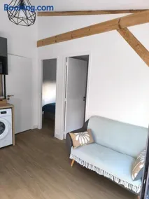 Studio indépendant face à la forêt - Image 4