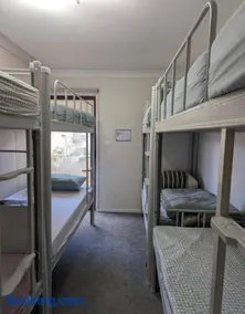 Bluetongue Hideout - Image 5