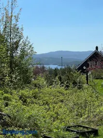 Koselig kjellerleilighet - Image 2