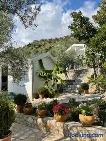 Alevra Resort - Image 2