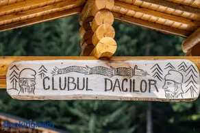 CLUBUL DACILOR - Image 2