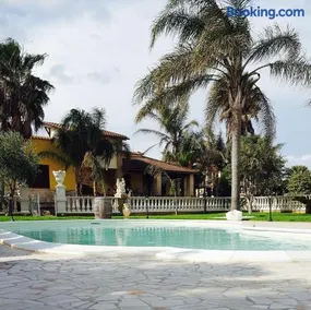 La Pajara - Image 2