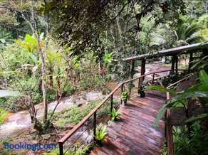 The ForRest Peace Forest แม่กำปอง - Image 4