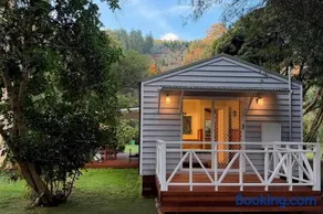 The Banya Place - renovated cabin in Bright - Image 3