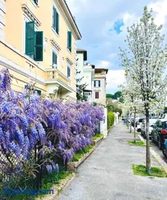 Residence Il Vittoriano - Image 3