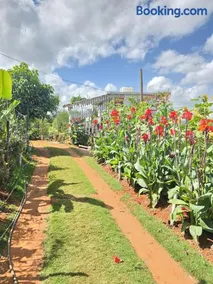 Elmadel Coffee Gardens & Village- Family Villas, Couples Chalets, Holiday Getaway & Garden Coffee Shop, Rustic Gardens- 50kms from Nairobi - Image 4