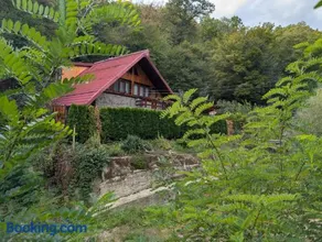 Casa din padure - Image 2