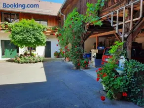 Loftartige Wohnung in Scheibbs mit Schwimmteich - Image 2