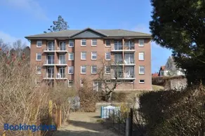 Zinnowitz, Strandgut - Image 3