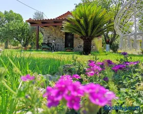 Patras stonehouse with large yard - Πέτρινο σπίτι με αυλή - Image 2