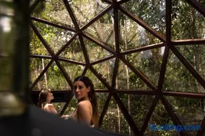 Glass House - Image 2