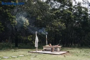 Wildernest - Image 4