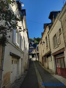 Cœur de Chinon, tout confort ! - Image 4