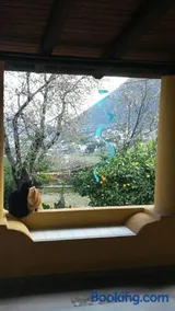 la casa di titti e jack - Image 1