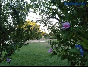 favoloso appartamento in villa - Image 4