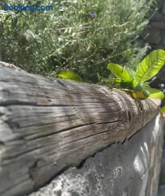 Finca La Ladera - Image 2