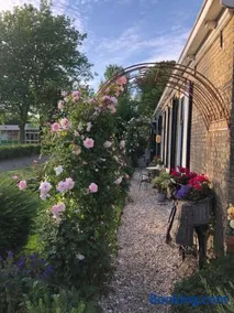 The Rose - Image 4