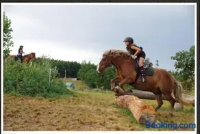 Ranch Calamity Jane - Image 5