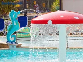 ZEcamping 4 étoiles animé parc aquatique pet friendly sauna - Image 2