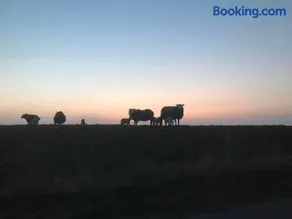 B&B De Oude Skuur Texel - Image 2