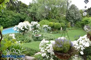 Three Oaks - Image 1