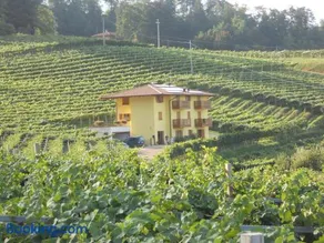 Agritur al Vigneto - Image 1