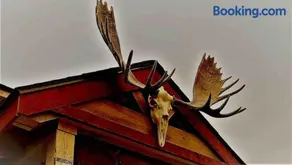 The Birches Cabin, at home in the woods! - Image 4